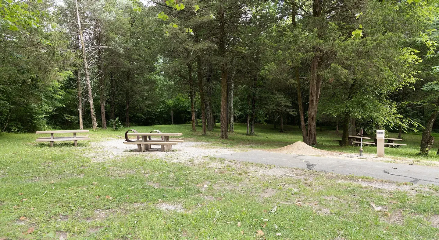 Maple Springs
