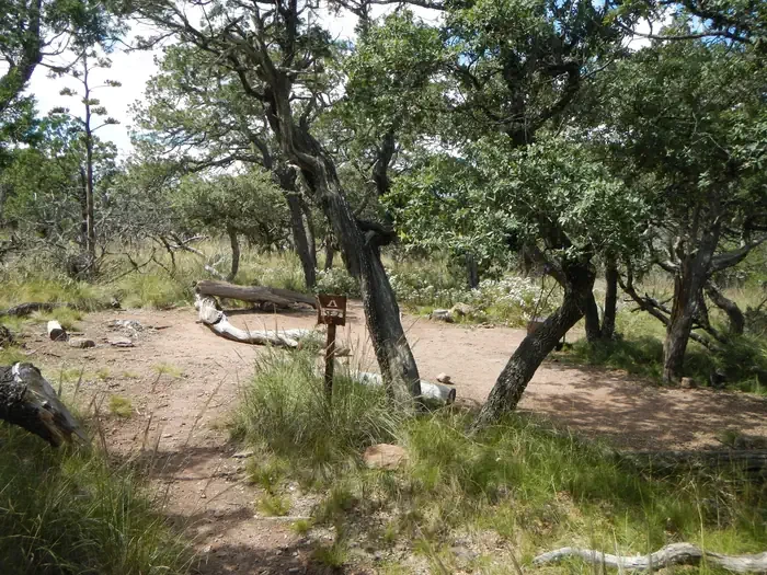 East Rim 8