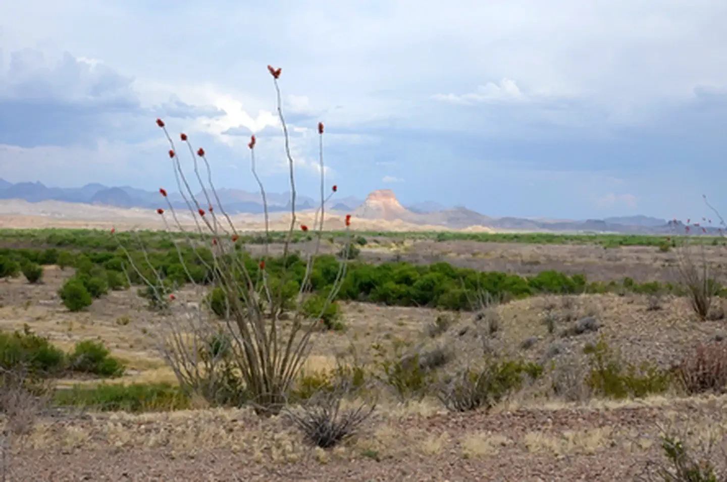 Big Bend National Park