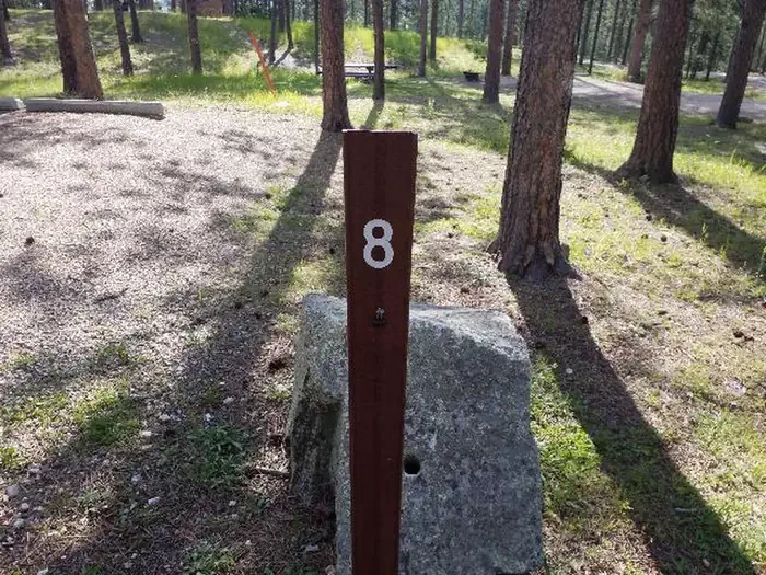 008