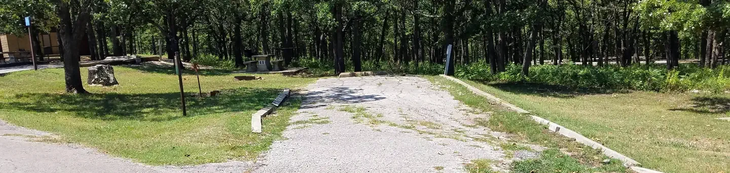 41