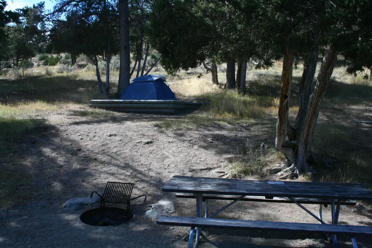 Mammoth site #72