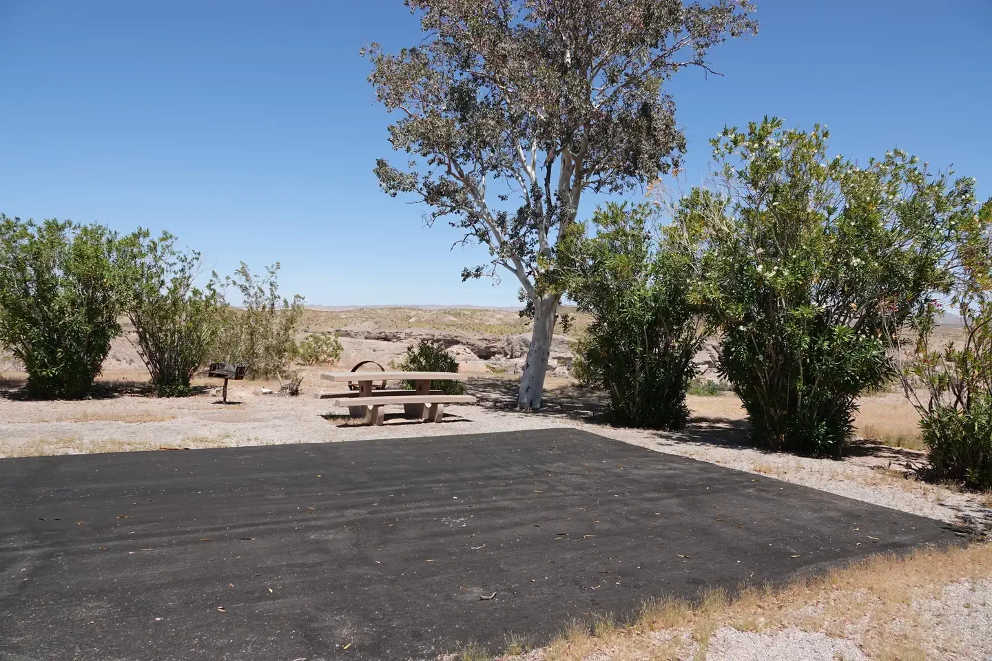 Site 54