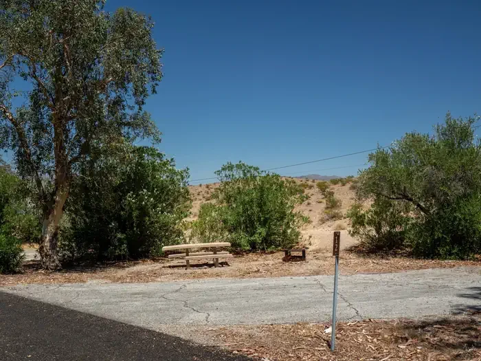 Site 12