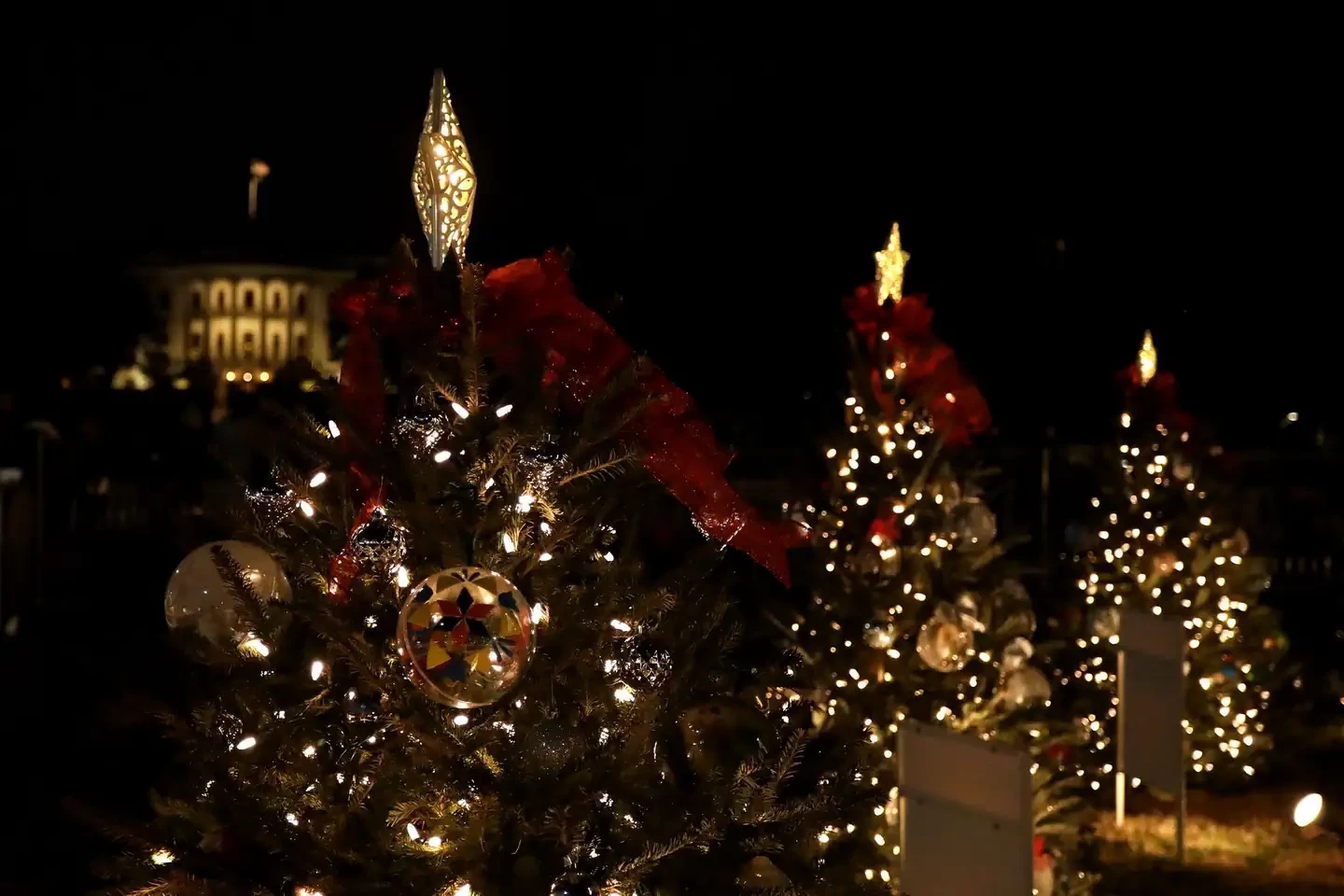 The National Christmas Tree Lighting Opening Ceremony