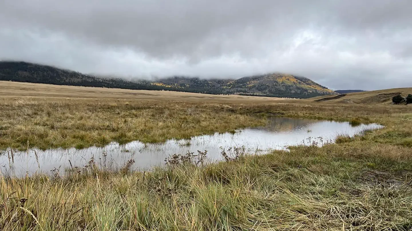 Valles Caldera National Preserve Backcountry Vehicle Timed Entry
