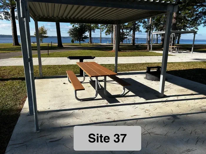 37