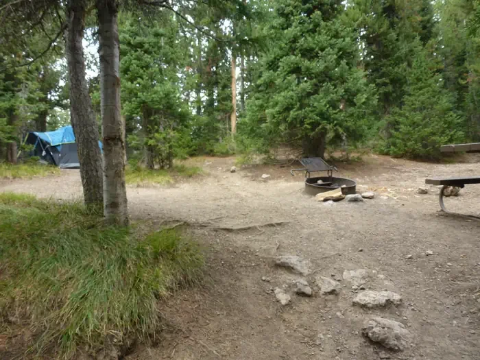Lewis Lake site #8