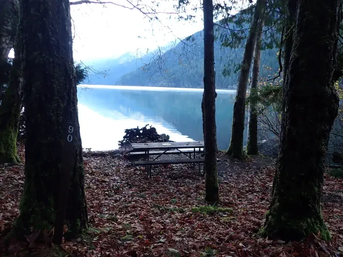 Fairholme Campground