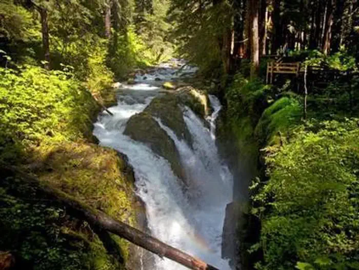 Sol Duc Hot Springs Resort Campground