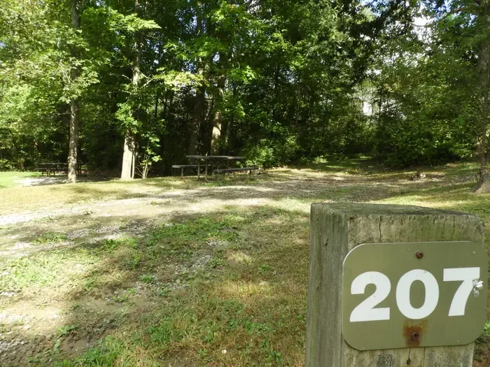 207