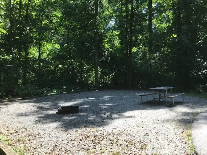 135