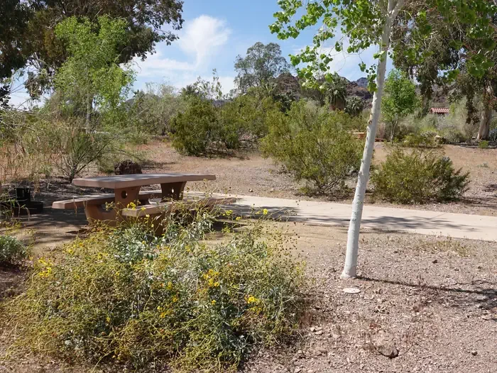 Site 16