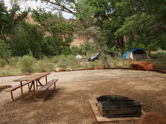 D004
