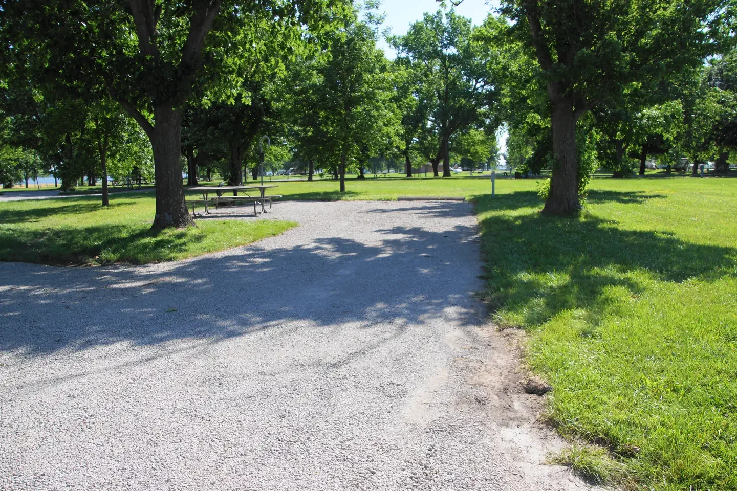 B41