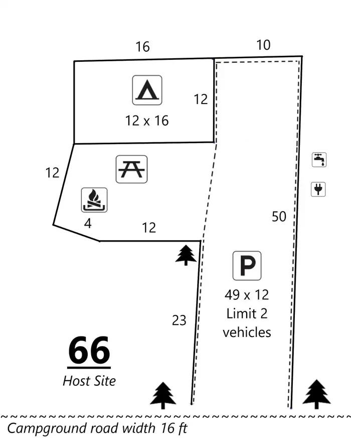 66
