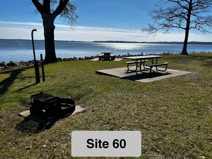 60