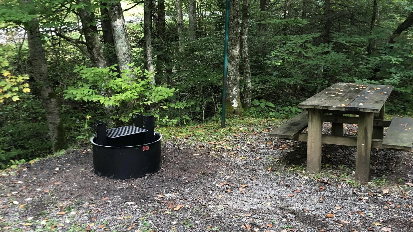 Williams River Campsites