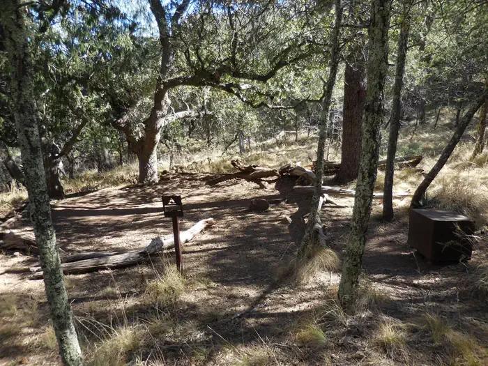 Juniper Can. 1