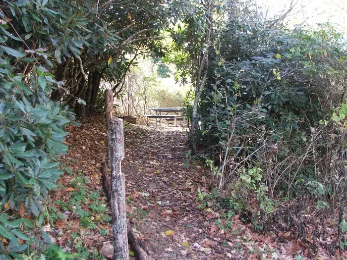 A28