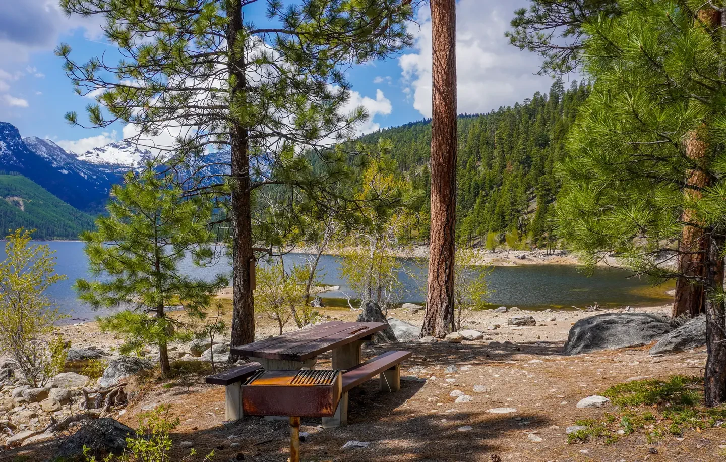 Woods Cabin
