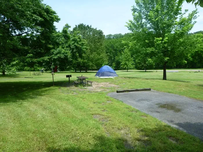 Site# 25