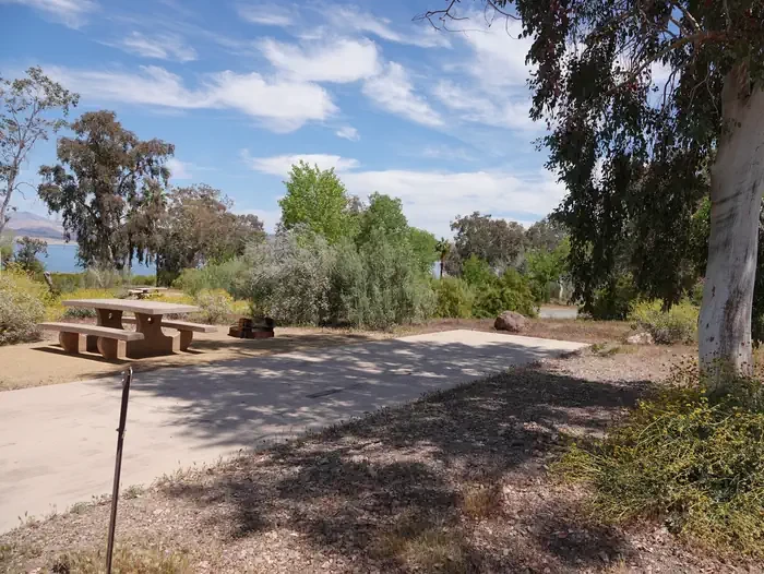Site 41