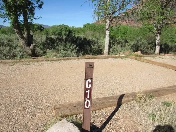 C010