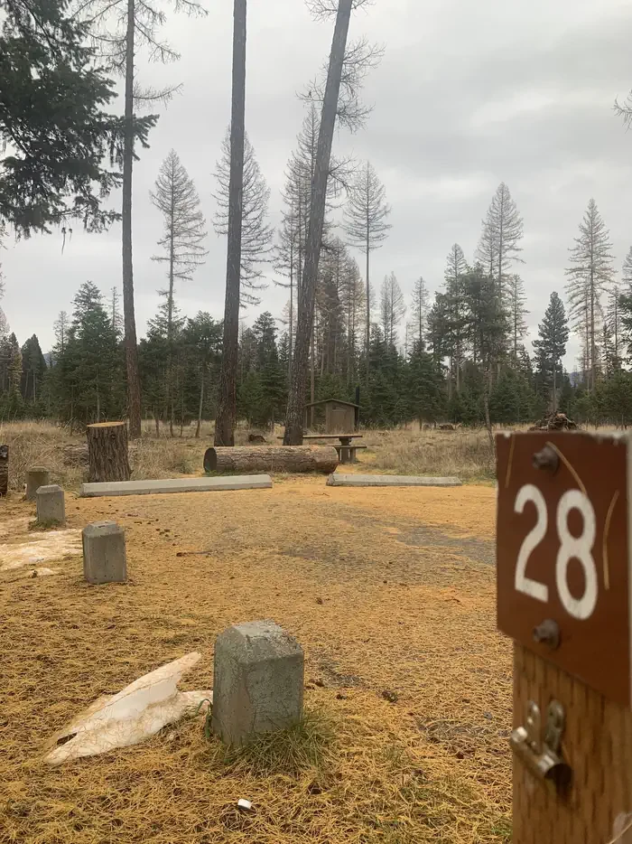 BLS28