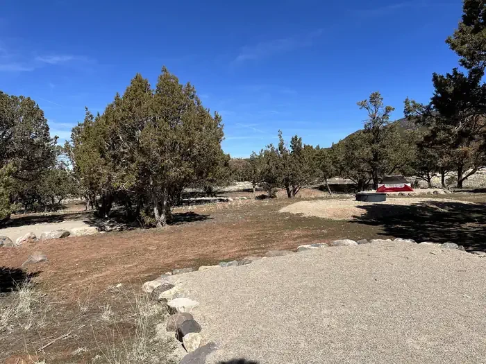 Group  Site 1