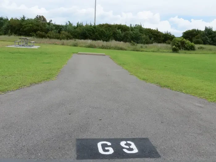 G009