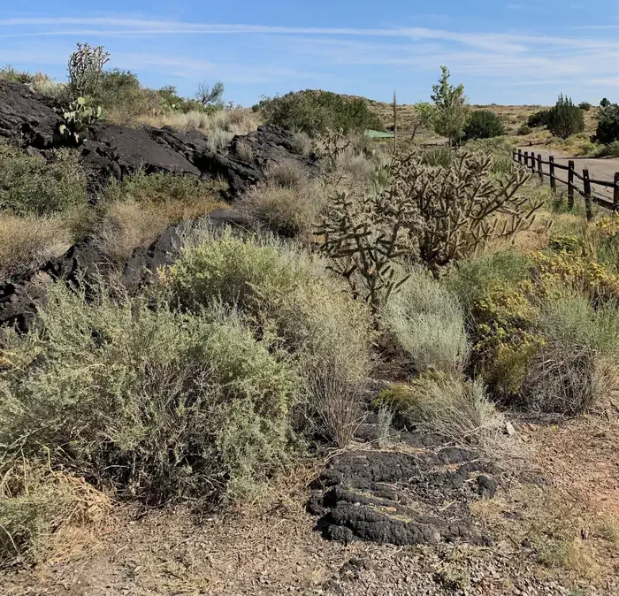 Site 23