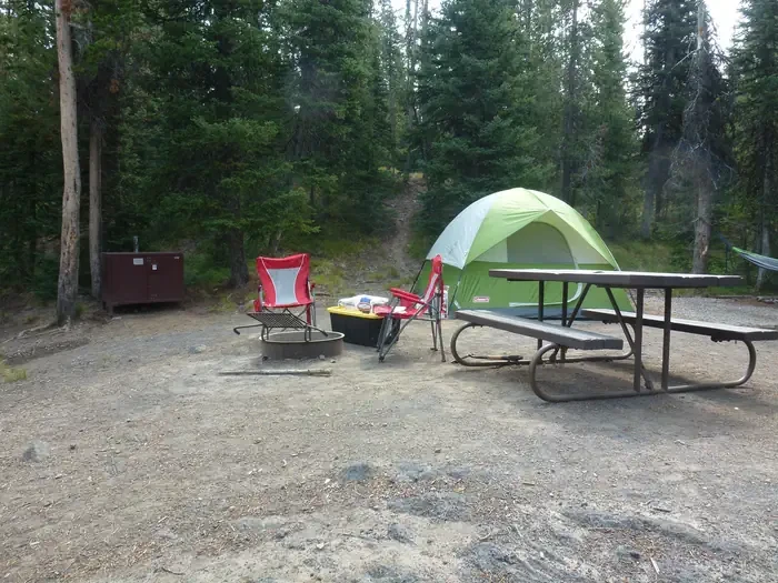 Lewis Lake site #22