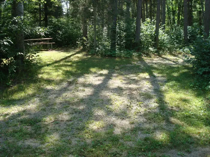 131