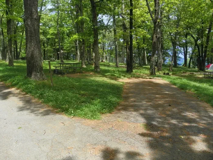 I226
