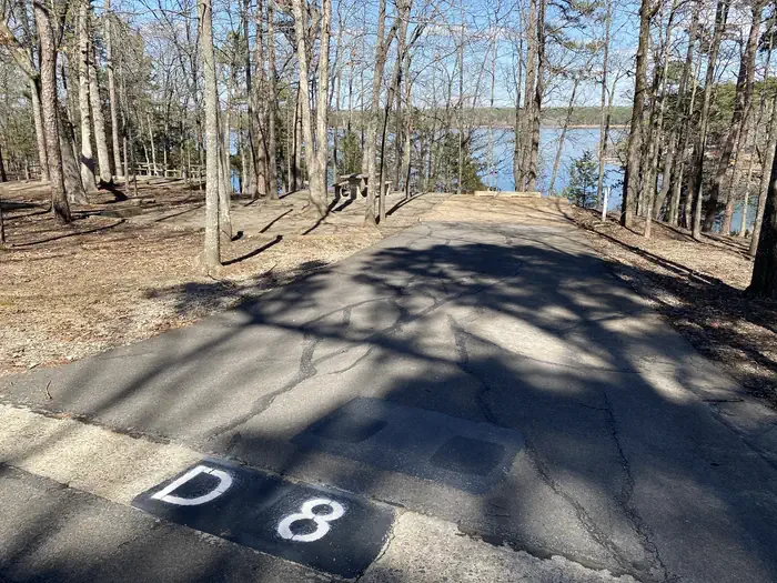D08