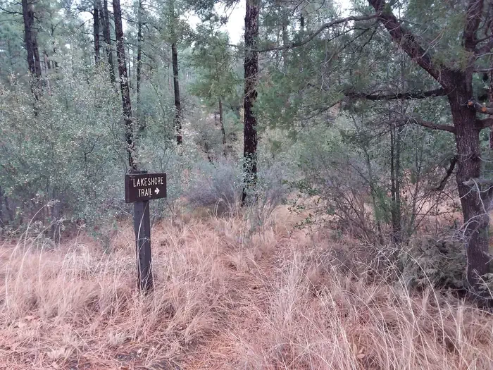 Lynx Campground