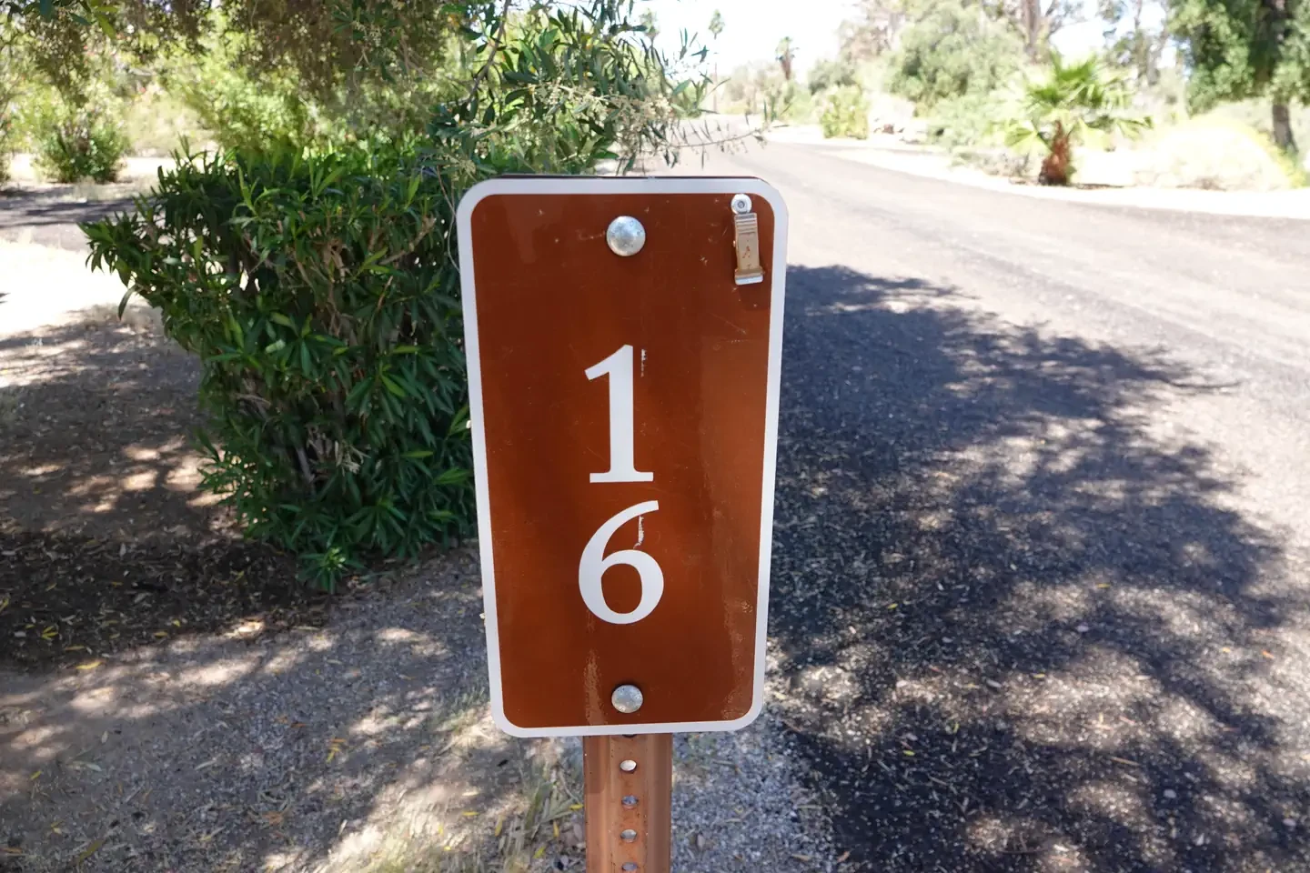 Site 16