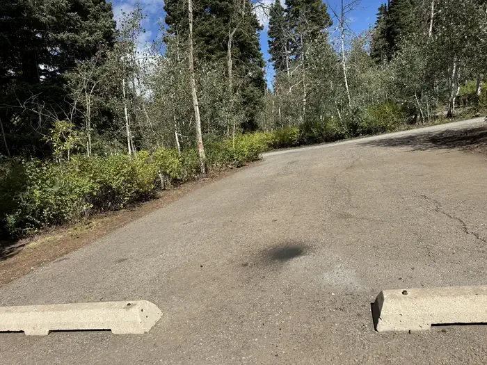 C27/28