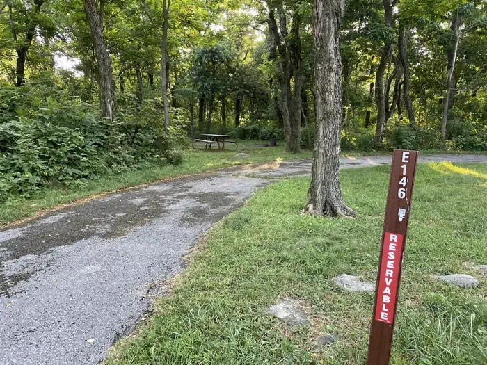 E146