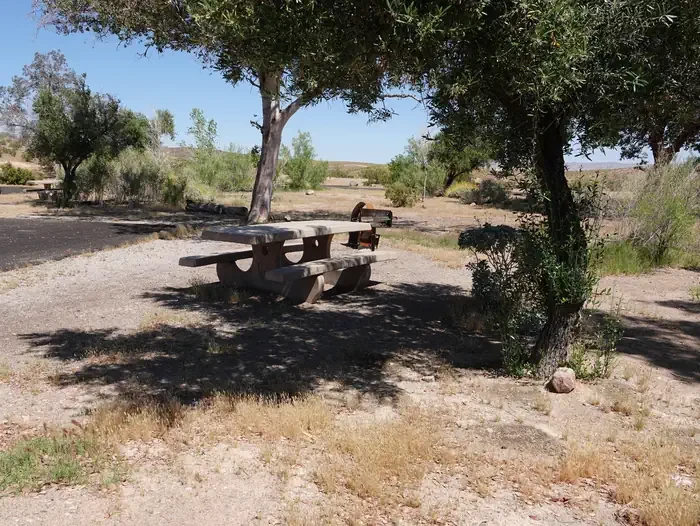 Site 4