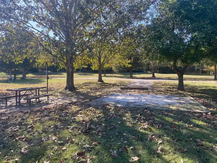 Site# 19
