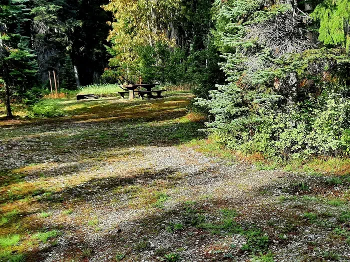 Phelps Creek Campground