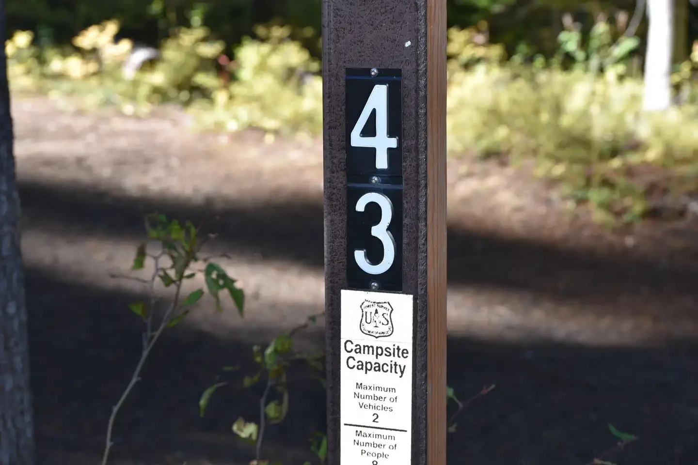 43