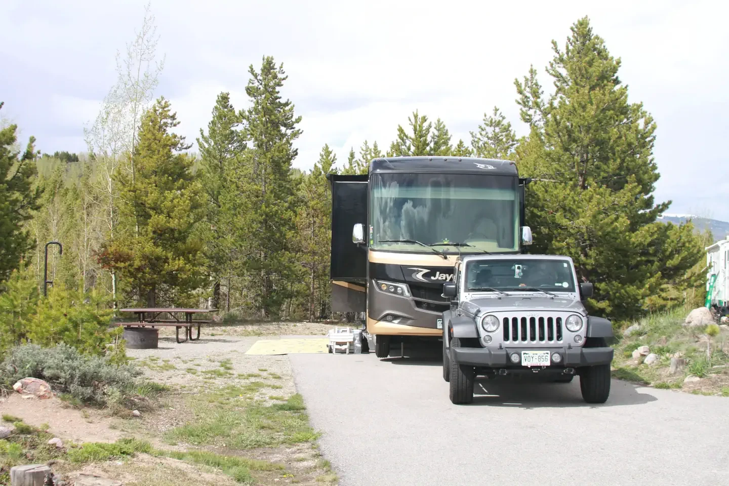 C33