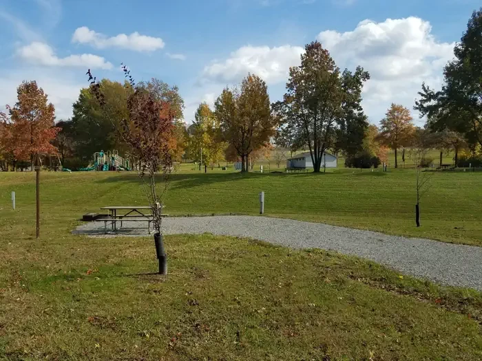 C20