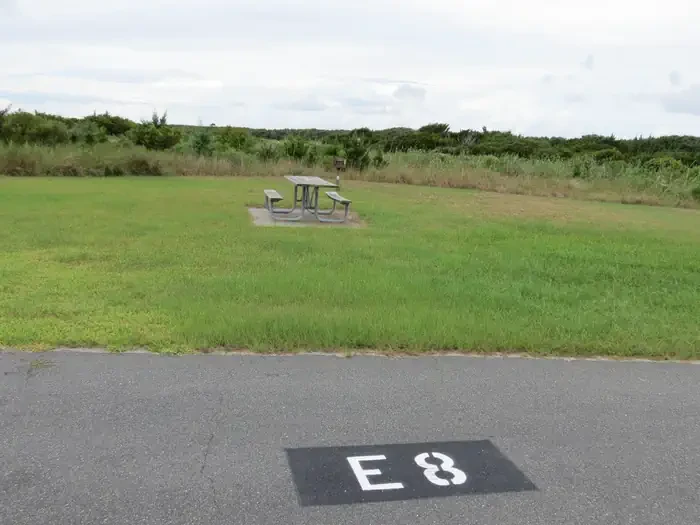 E008