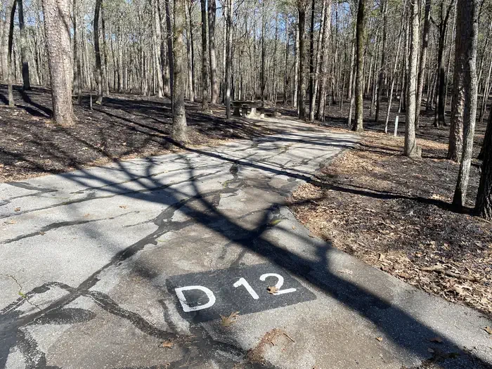 D12