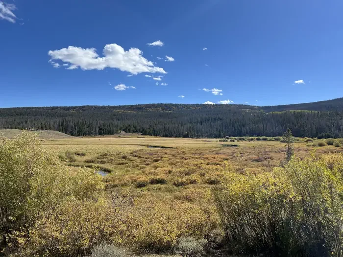 China Meadows Campground