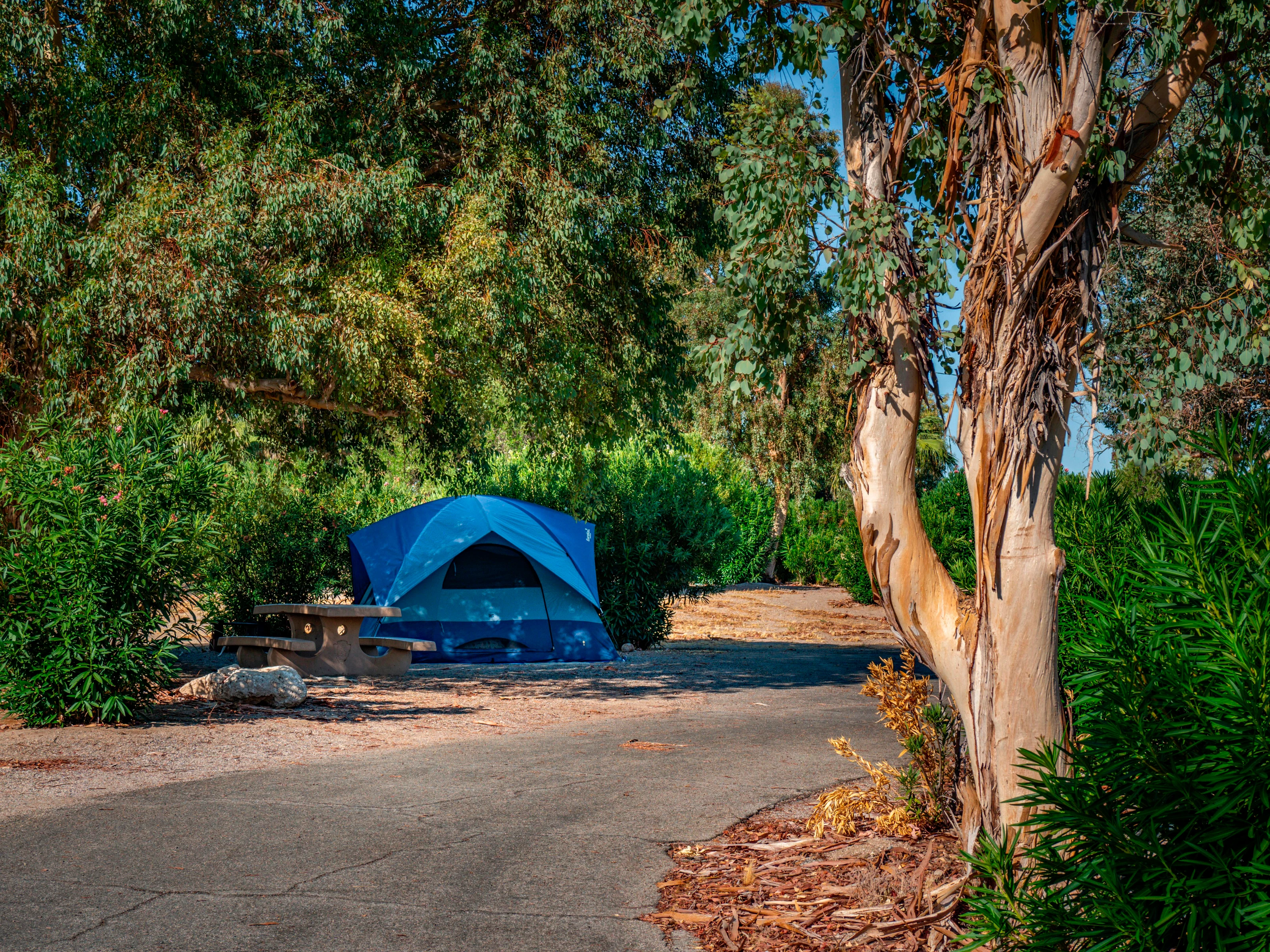 Temple Bar Campground